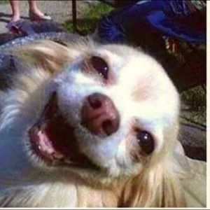 Meet your Posher, Jason